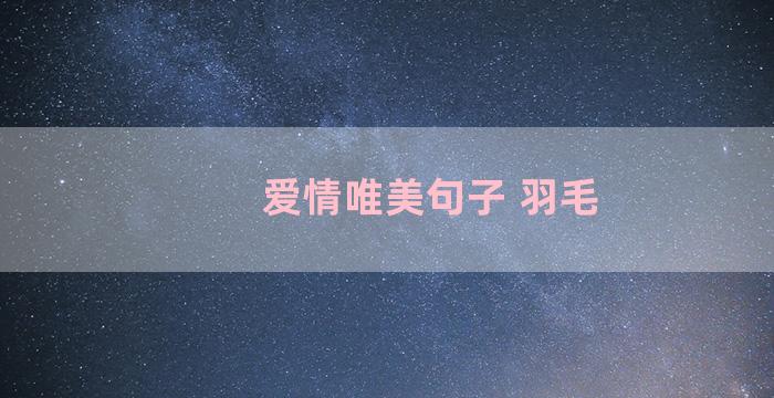 爱情唯美句子 羽毛